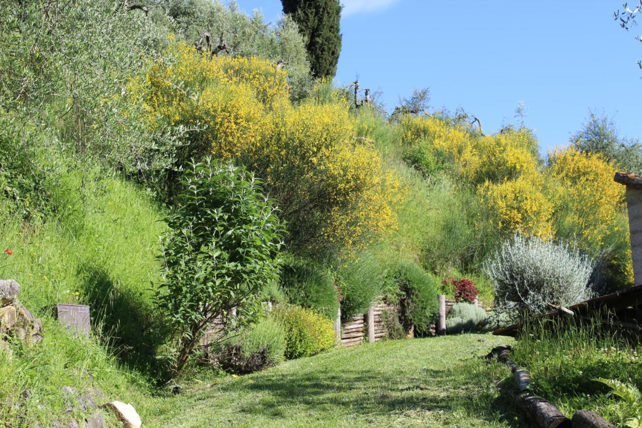 Villa Porsenna Chiusi Exteriör bild